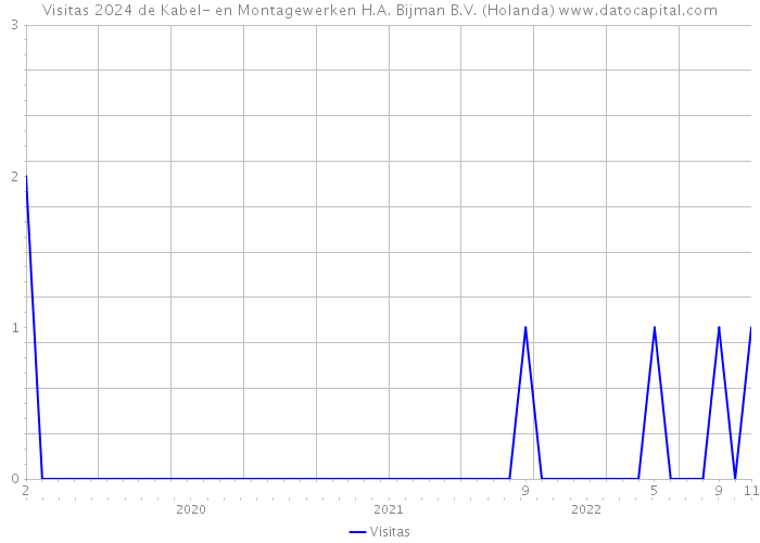 Visitas 2024 de Kabel- en Montagewerken H.A. Bijman B.V. (Holanda) 