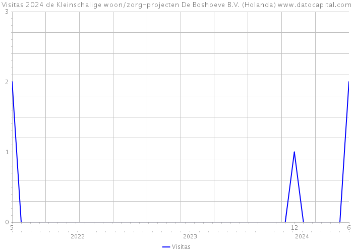 Visitas 2024 de Kleinschalige woon/zorg-projecten De Boshoeve B.V. (Holanda) 