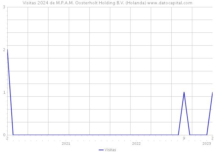 Visitas 2024 de M.P.A.M. Oosterholt Holding B.V. (Holanda) 