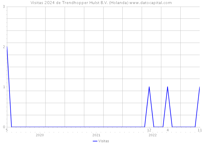 Visitas 2024 de Trendhopper Hulst B.V. (Holanda) 