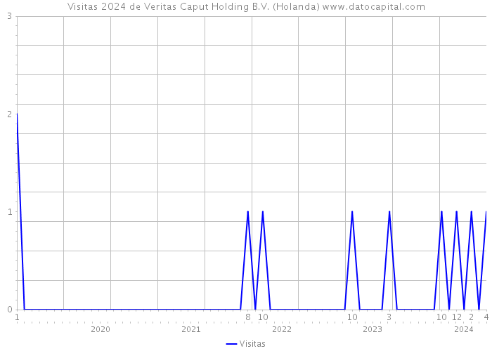 Visitas 2024 de Veritas Caput Holding B.V. (Holanda) 