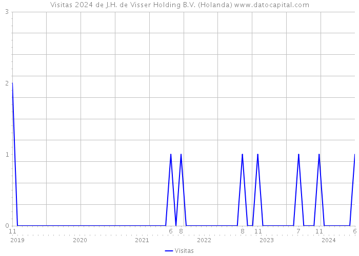 Visitas 2024 de J.H. de Visser Holding B.V. (Holanda) 