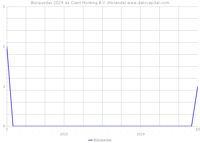 Búsquedas 2024 de Giant Holding B.V. (Holanda) 