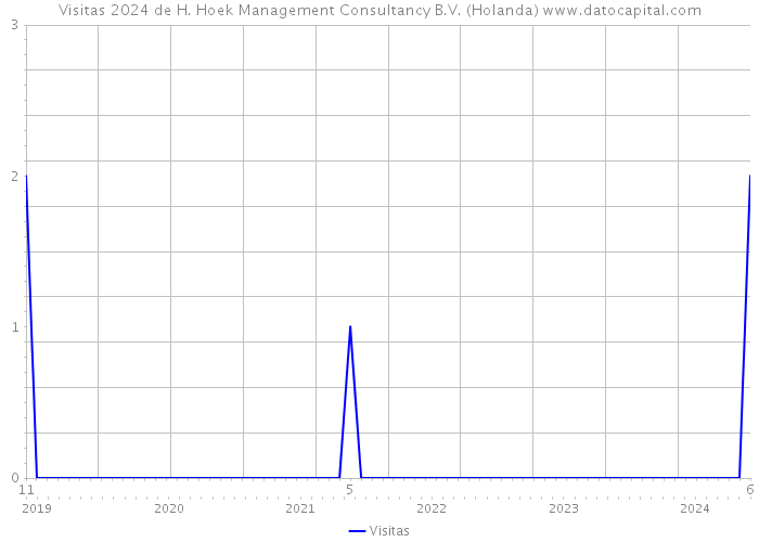 Visitas 2024 de H. Hoek Management Consultancy B.V. (Holanda) 