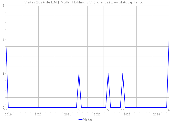 Visitas 2024 de E.M.J. Muller Holding B.V. (Holanda) 