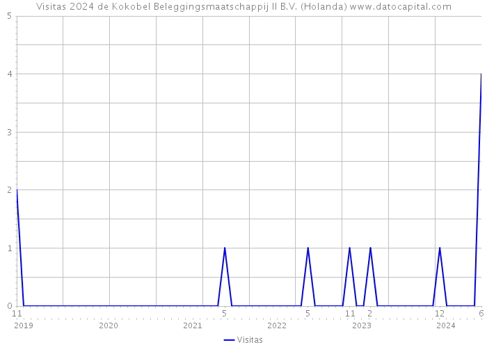 Visitas 2024 de Kokobel Beleggingsmaatschappij II B.V. (Holanda) 