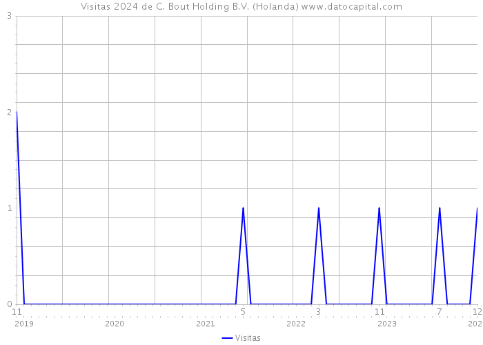 Visitas 2024 de C. Bout Holding B.V. (Holanda) 