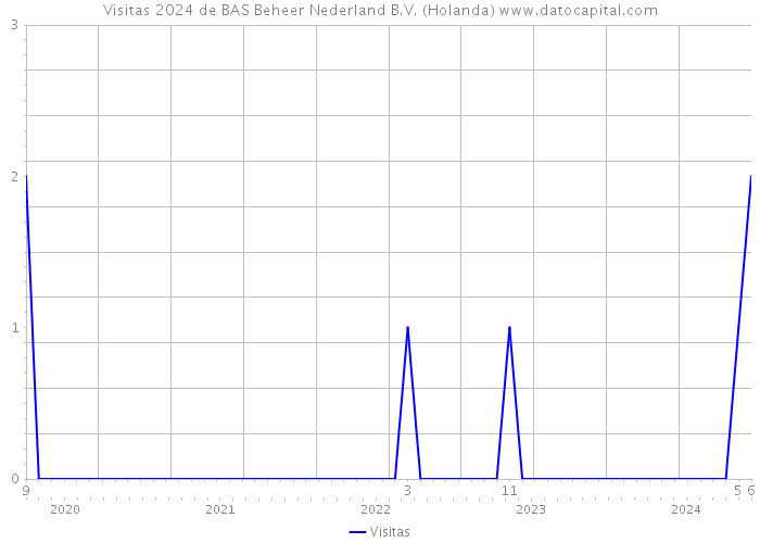 Visitas 2024 de BAS Beheer Nederland B.V. (Holanda) 