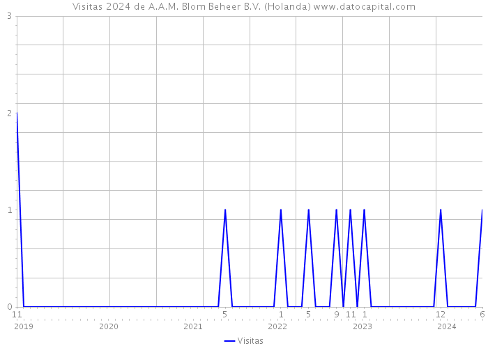 Visitas 2024 de A.A.M. Blom Beheer B.V. (Holanda) 