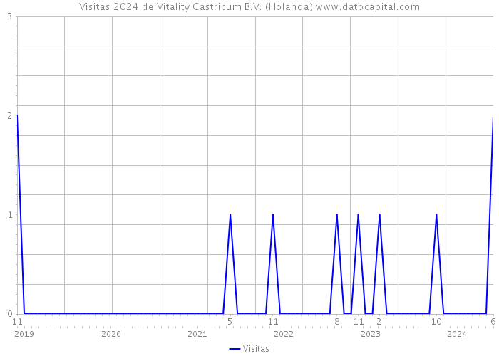 Visitas 2024 de Vitality Castricum B.V. (Holanda) 