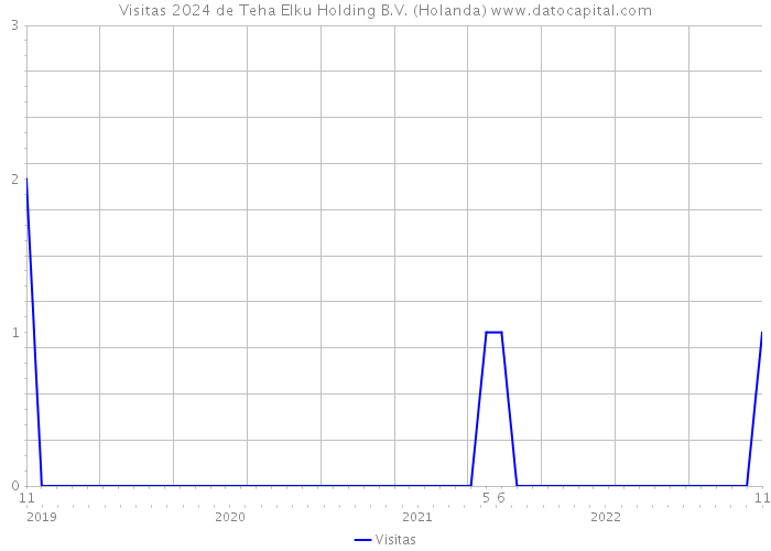 Visitas 2024 de Teha Elku Holding B.V. (Holanda) 