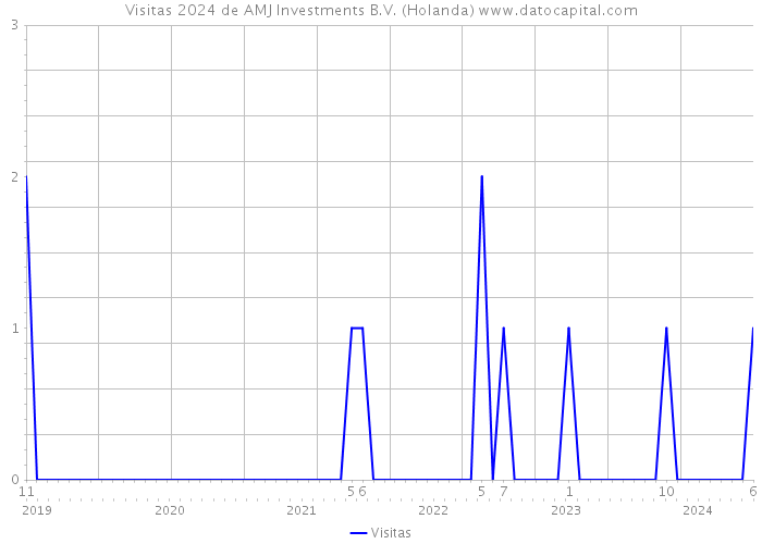 Visitas 2024 de AMJ Investments B.V. (Holanda) 