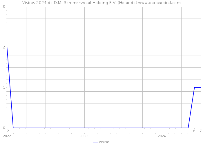 Visitas 2024 de D.M. Remmerswaal Holding B.V. (Holanda) 