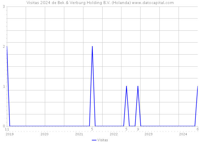 Visitas 2024 de Bek & Verburg Holding B.V. (Holanda) 