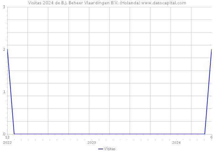 Visitas 2024 de B.J. Beheer Vlaardingen B.V. (Holanda) 