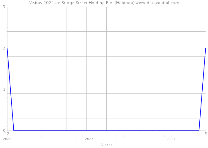 Visitas 2024 de Bridge Street Holding B.V. (Holanda) 