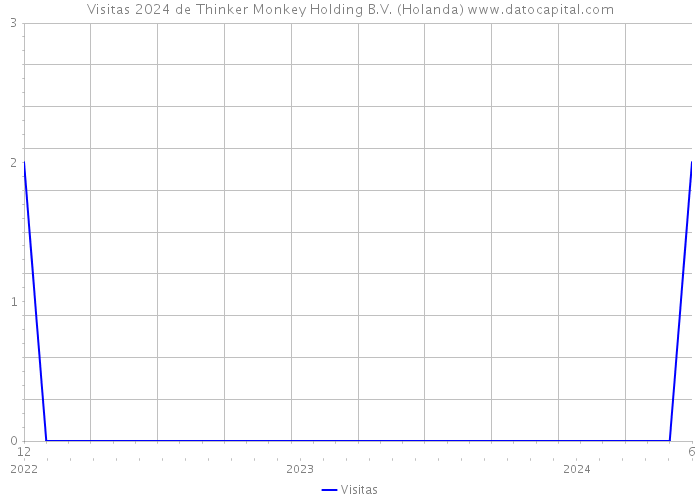 Visitas 2024 de Thinker Monkey Holding B.V. (Holanda) 
