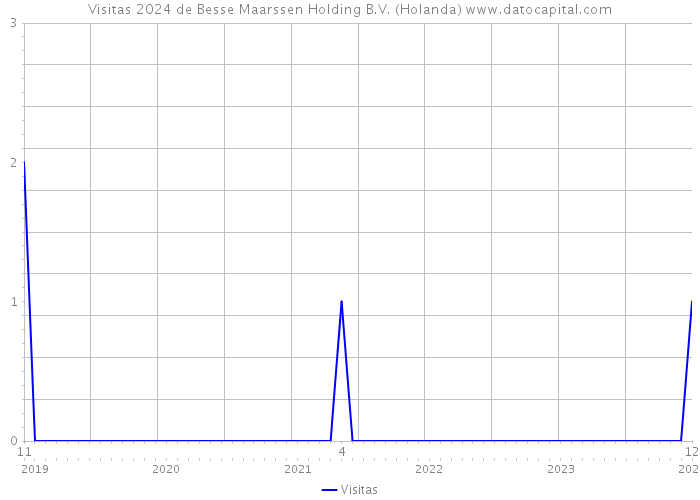Visitas 2024 de Besse Maarssen Holding B.V. (Holanda) 