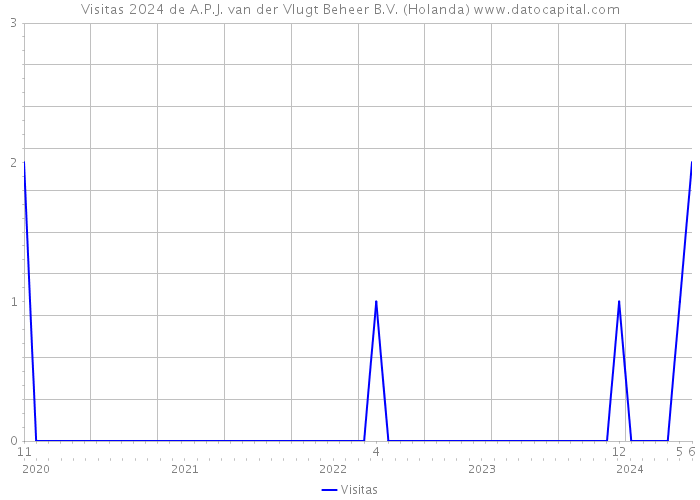 Visitas 2024 de A.P.J. van der Vlugt Beheer B.V. (Holanda) 