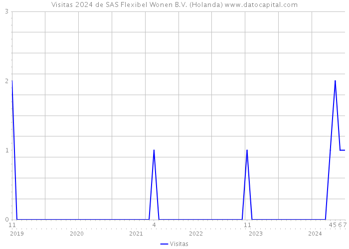 Visitas 2024 de SAS Flexibel Wonen B.V. (Holanda) 