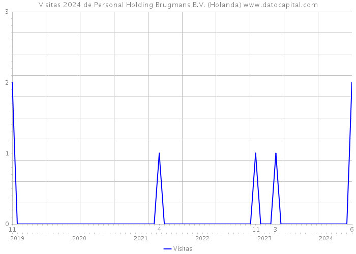 Visitas 2024 de Personal Holding Brugmans B.V. (Holanda) 