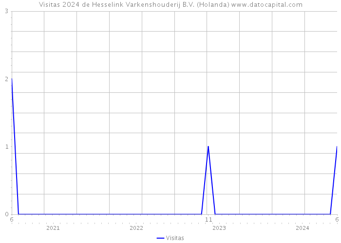 Visitas 2024 de Hesselink Varkenshouderij B.V. (Holanda) 