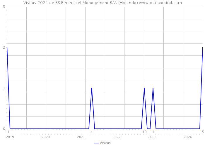 Visitas 2024 de BS Financieel Management B.V. (Holanda) 