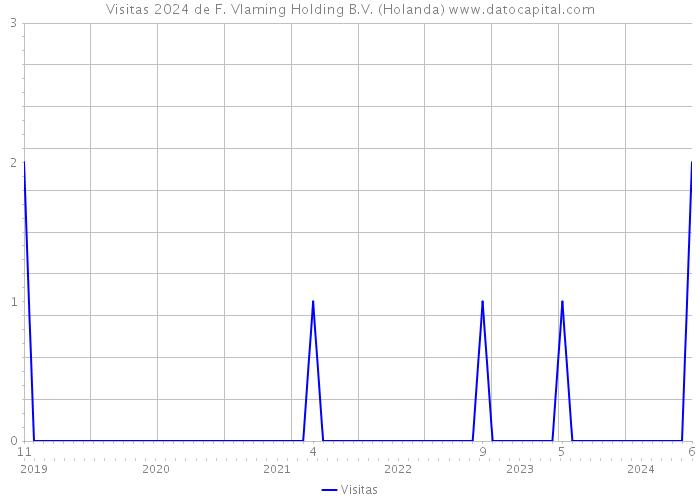 Visitas 2024 de F. Vlaming Holding B.V. (Holanda) 