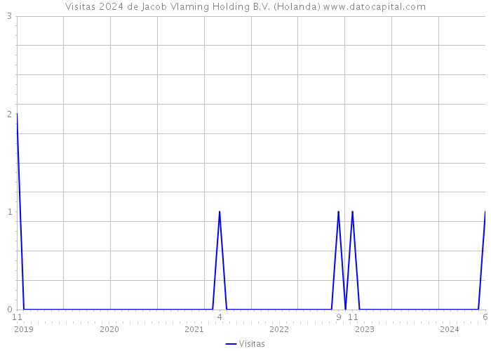 Visitas 2024 de Jacob Vlaming Holding B.V. (Holanda) 
