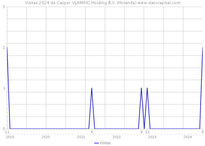 Visitas 2024 de Casper VLAMING Holding B.V. (Holanda) 