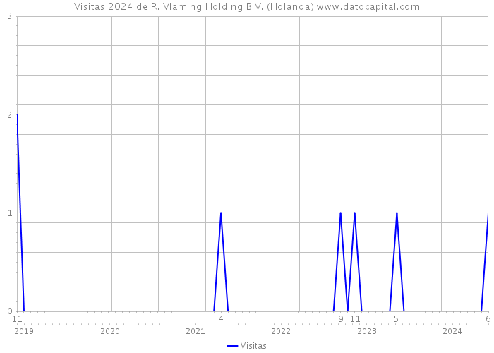 Visitas 2024 de R. Vlaming Holding B.V. (Holanda) 