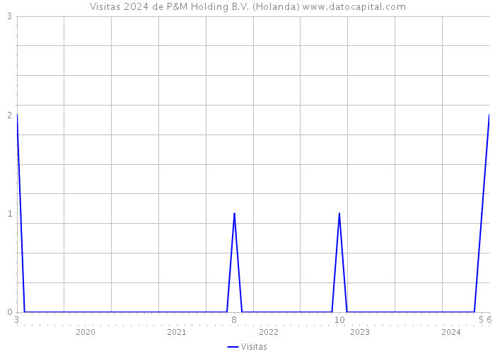 Visitas 2024 de P&M Holding B.V. (Holanda) 