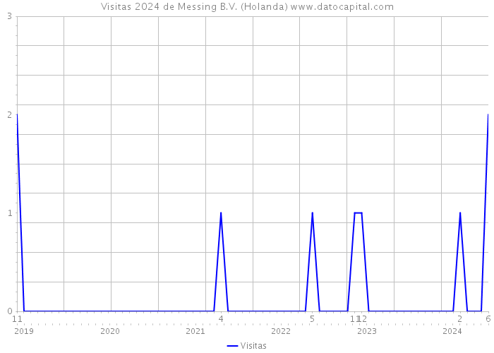 Visitas 2024 de Messing B.V. (Holanda) 