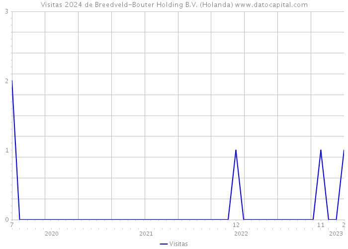 Visitas 2024 de Breedveld-Bouter Holding B.V. (Holanda) 