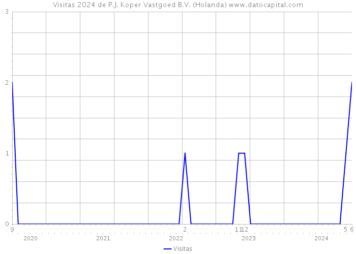 Visitas 2024 de P.J. Koper Vastgoed B.V. (Holanda) 