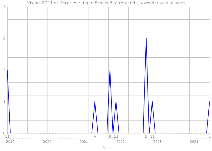 Visitas 2024 de Serge Harlingen Beheer B.V. (Holanda) 