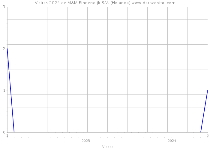 Visitas 2024 de M&M Binnendijk B.V. (Holanda) 