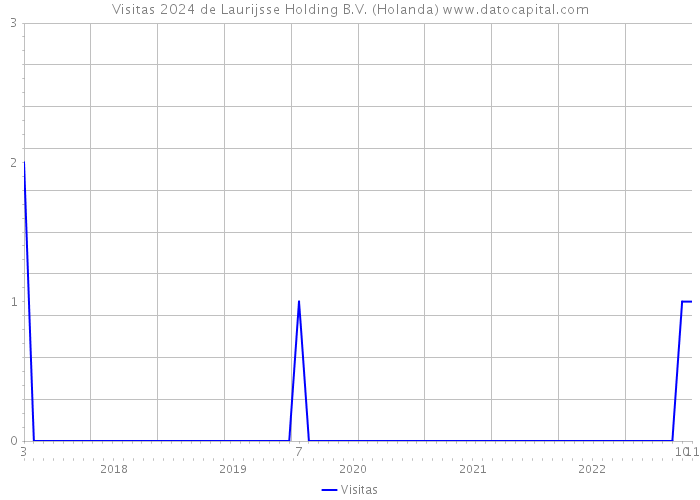 Visitas 2024 de Laurijsse Holding B.V. (Holanda) 