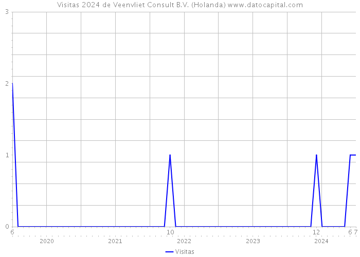 Visitas 2024 de Veenvliet Consult B.V. (Holanda) 