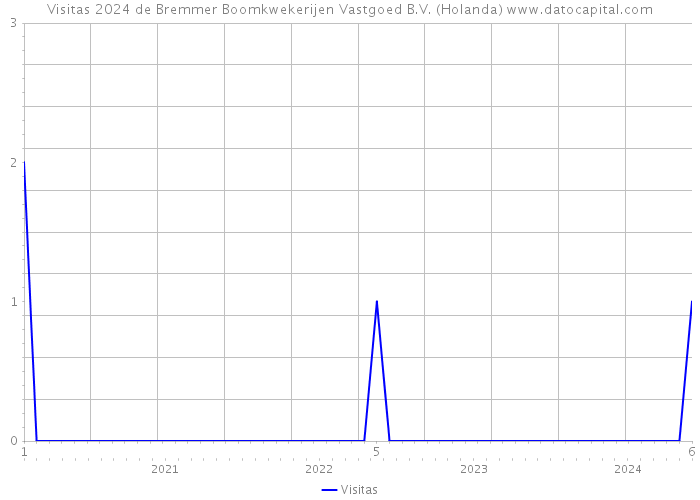 Visitas 2024 de Bremmer Boomkwekerijen Vastgoed B.V. (Holanda) 