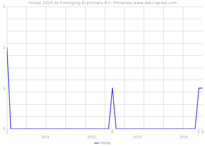 Visitas 2024 de Kinneging Exploitatie B.V. (Holanda) 