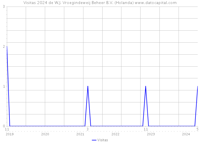 Visitas 2024 de W.J. Vroegindeweij Beheer B.V. (Holanda) 