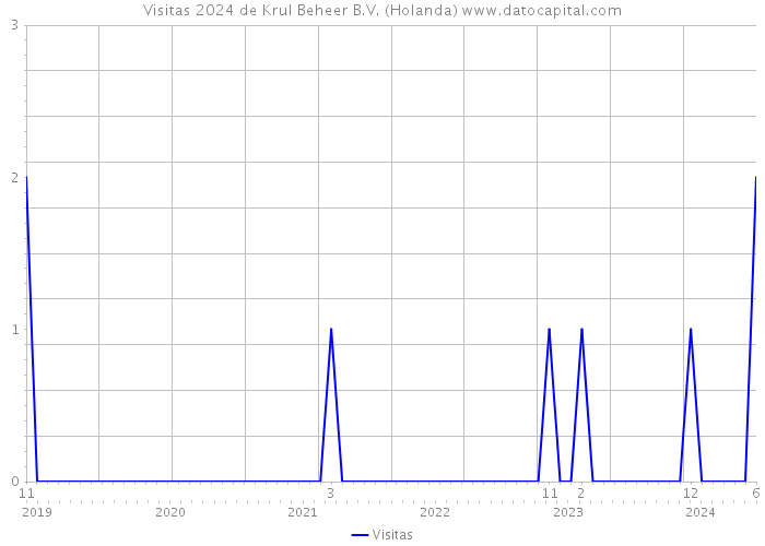 Visitas 2024 de Krul Beheer B.V. (Holanda) 