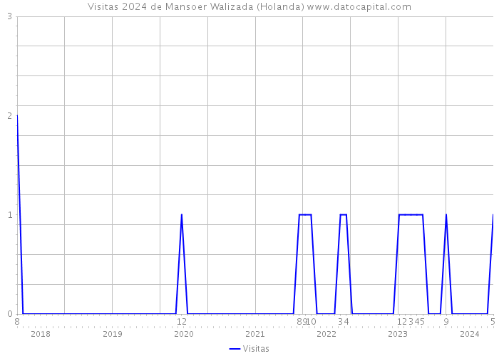 Visitas 2024 de Mansoer Walizada (Holanda) 