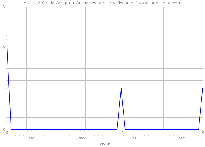 Visitas 2024 de Zorgpunt Wijchen Holding B.V. (Holanda) 