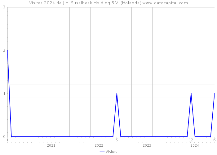 Visitas 2024 de J.H. Suselbeek Holding B.V. (Holanda) 