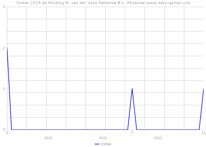 Visitas 2024 de Holding M. van der Veen Harkema B.V. (Holanda) 