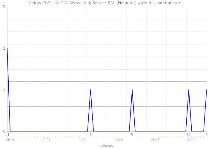 Visitas 2024 de D.G. Wesseldijk Beheer B.V. (Holanda) 