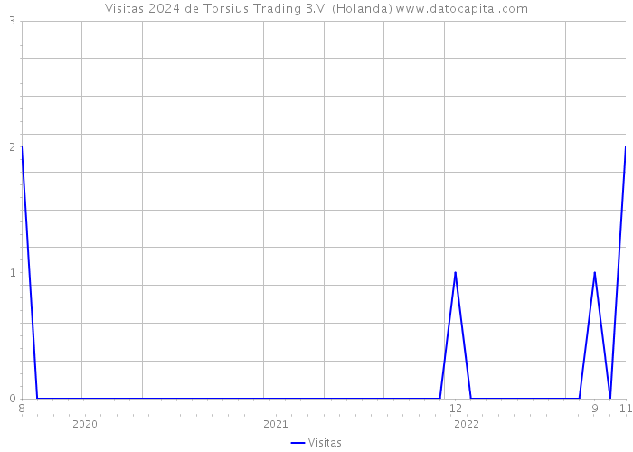 Visitas 2024 de Torsius Trading B.V. (Holanda) 