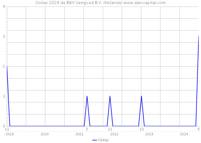 Visitas 2024 de B&V Vastgoed B.V. (Holanda) 